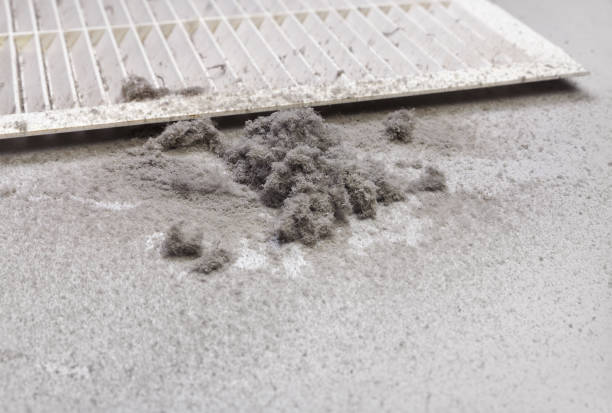 Best Ventilation Cleaning Services  in Carrollton, MO